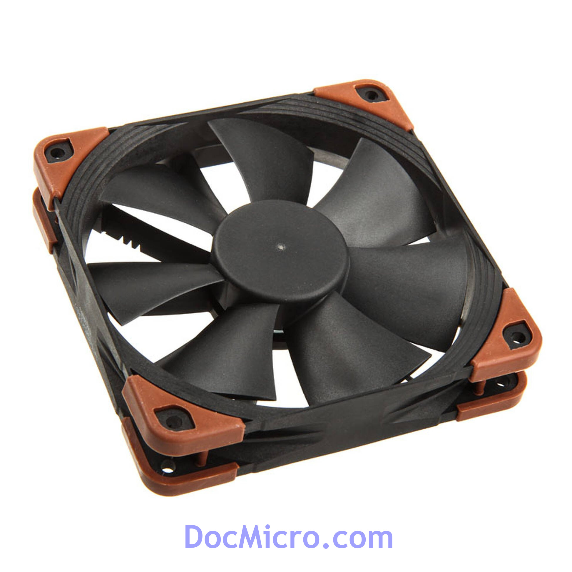 Noctua