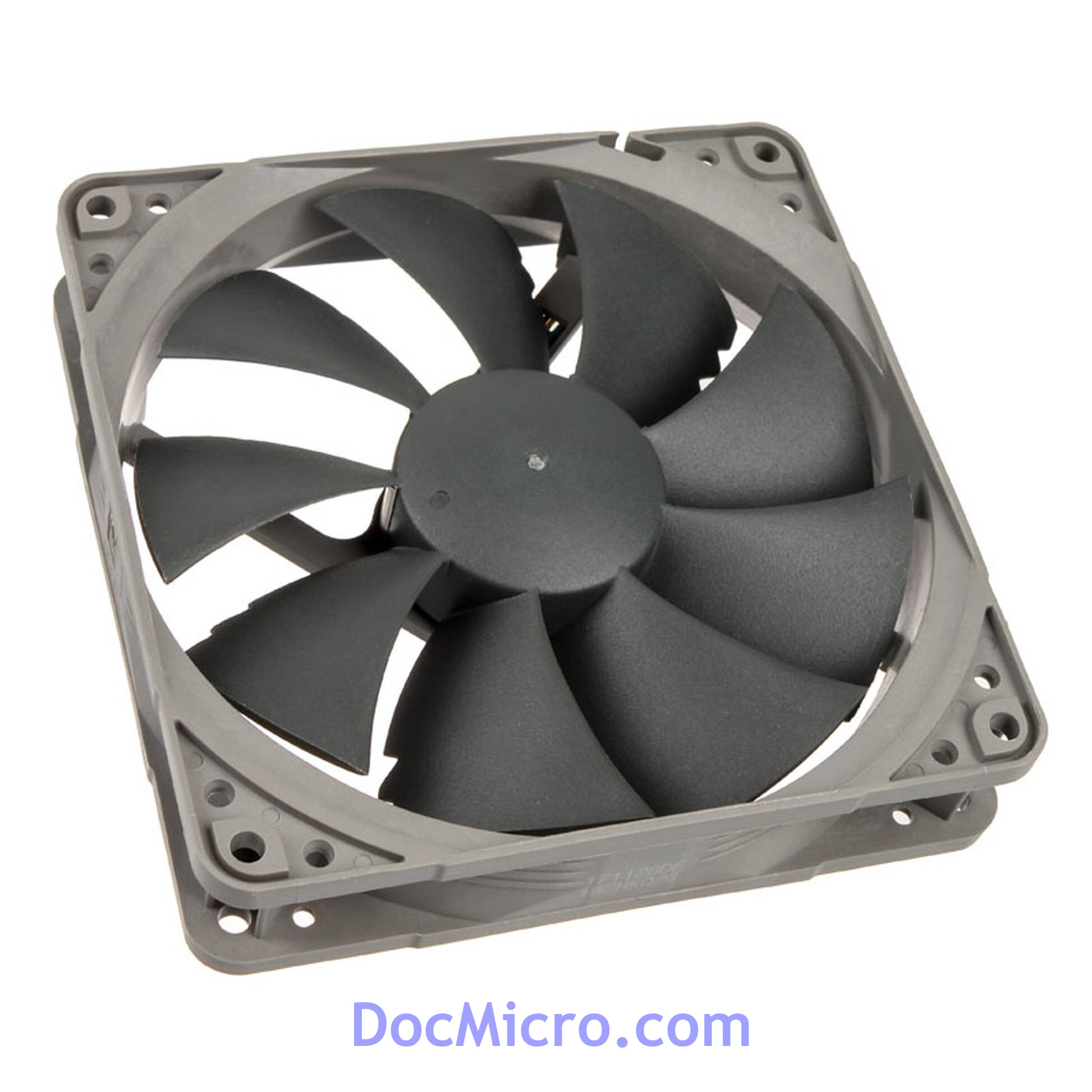 Noctua
