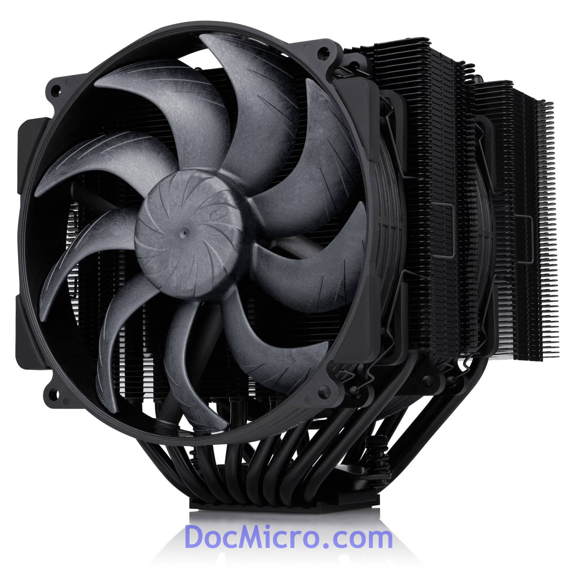 Noctua